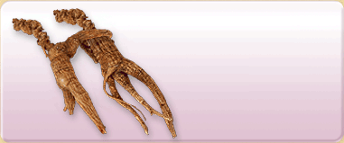 Ginseng